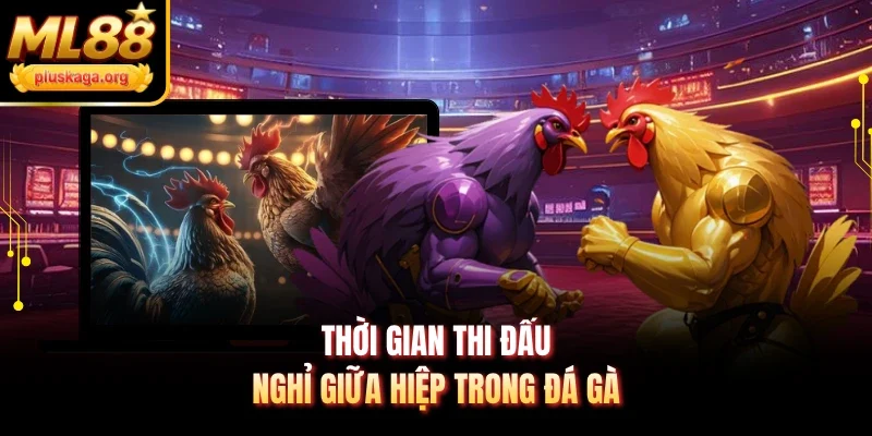 Thời gian thi đấu, nghỉ giữa hiệp trong đá gà