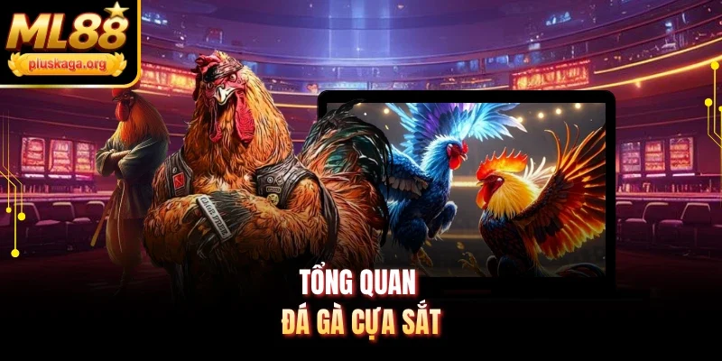 Tổng quan đá gà cựa sắt