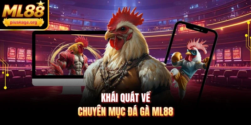 Khái quát về chuyên mục đá gà ML88