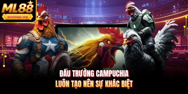 Đấu trường Campuchia luôn tạo nên sự khác biệt