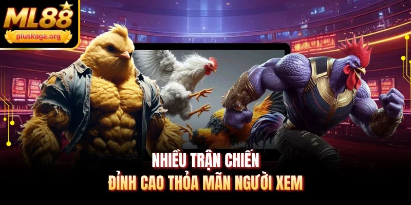 Nhiều trận chiến đỉnh cao thỏa mãn người xem
